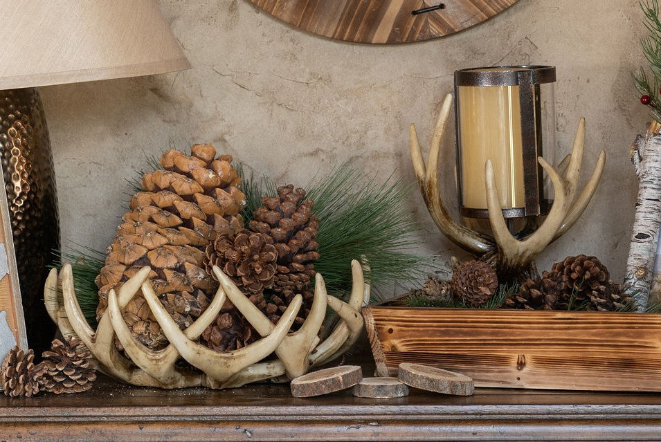 Antler Decor