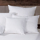Oblong Down Insert, Multiple Sizes Pillow Insert