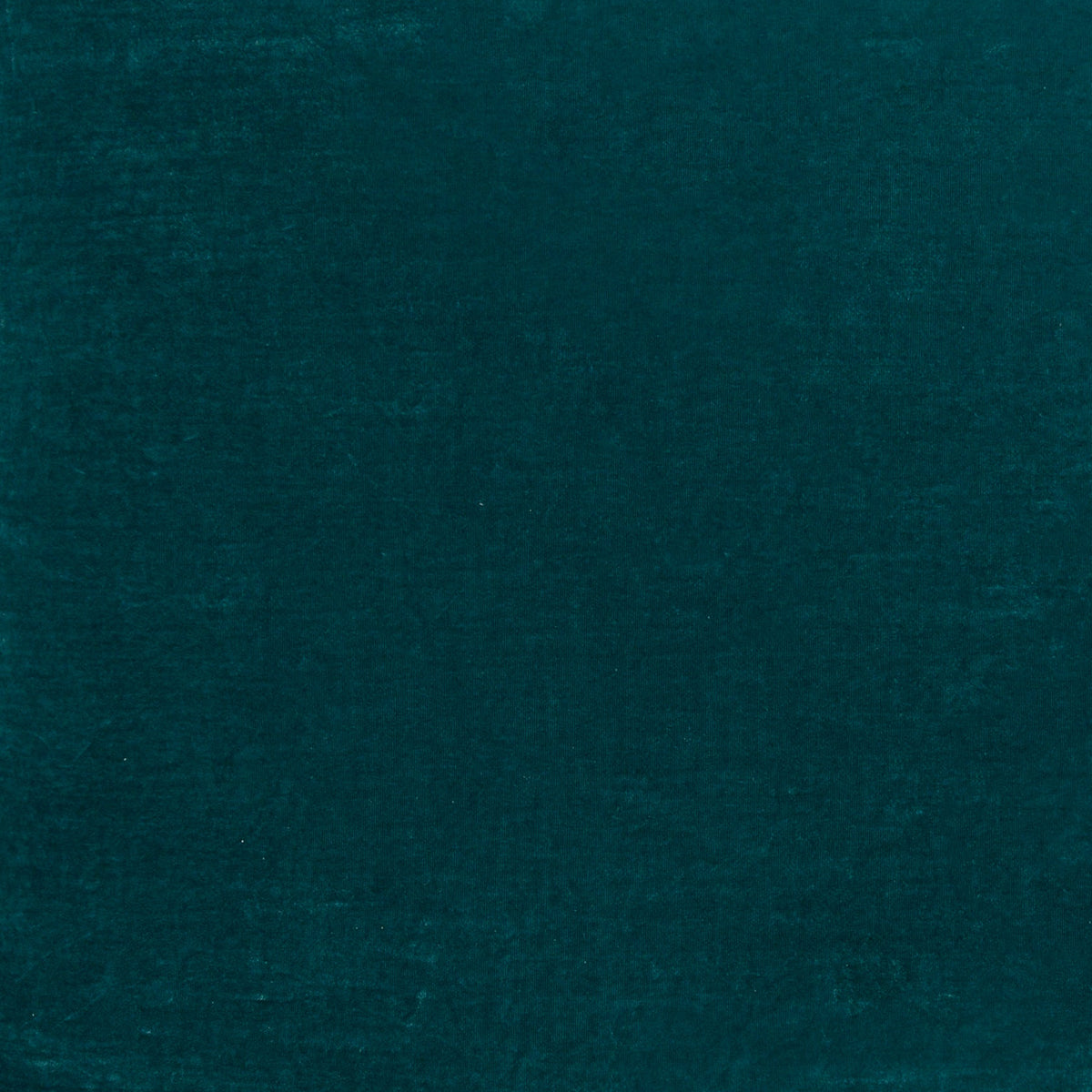Stella velvet brushed against the pile — deeper, richer