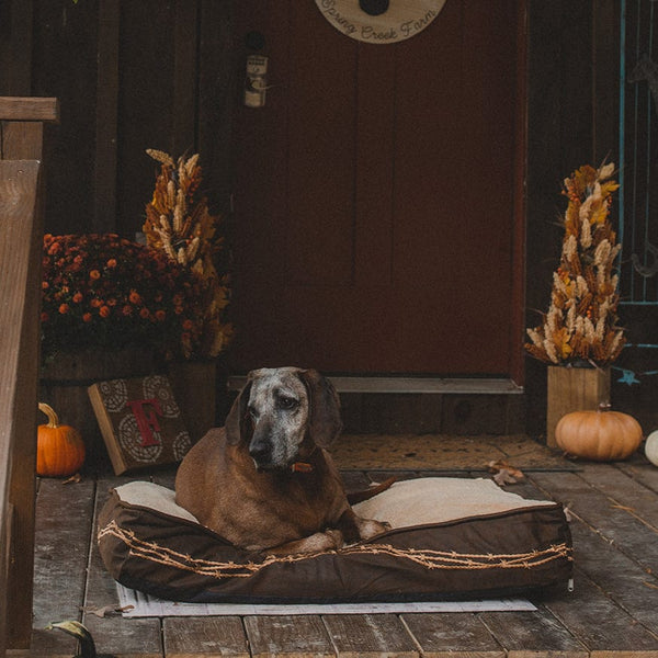 Embroidered dog bed on sale