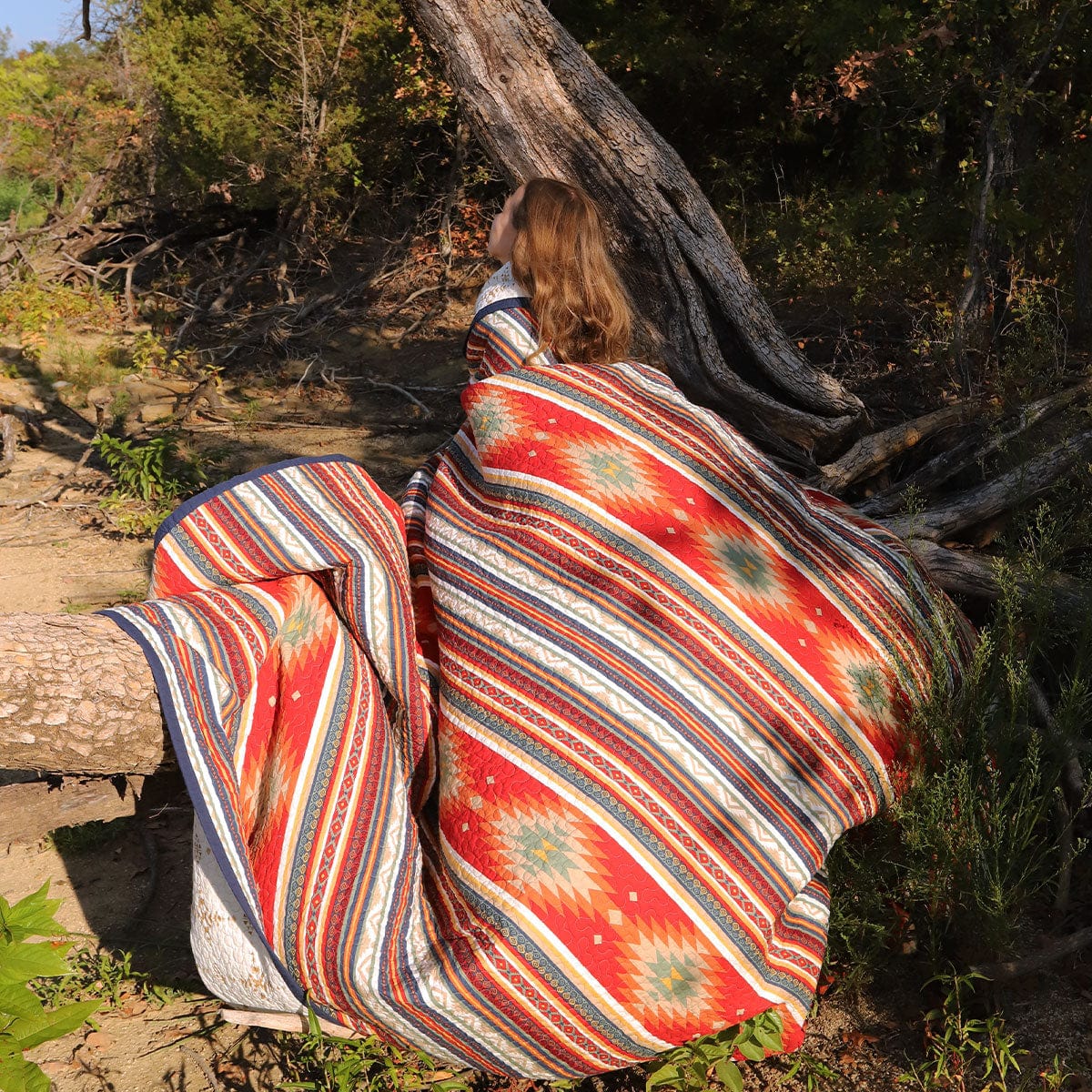 新品HiEnd Accents Del Sol Quilt Set, Twin