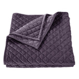 Velvet Diamond Quilt Quilt