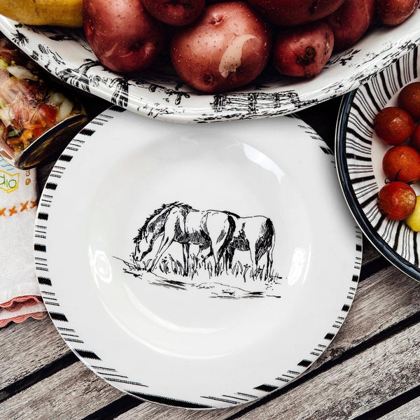 Ranch Life Melamine Salad Plates, Set of 4