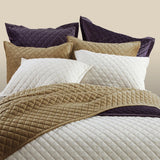 Velvet Quilted Pillow Sham - Standard/King (PAIR) Sham