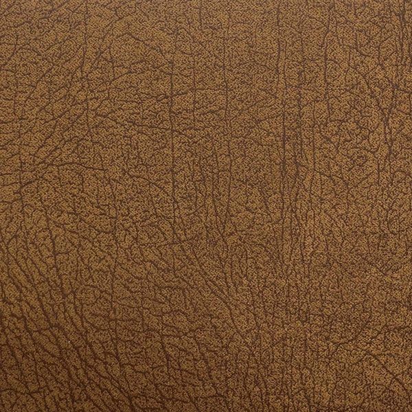 Las Cruces Faux Leather Swatch Swatch