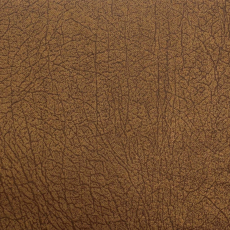 Las Cruces Faux Leather Swatch Swatch